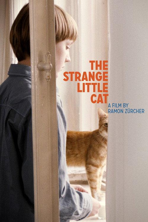 The Strange Little Cat 2013 official movie poster