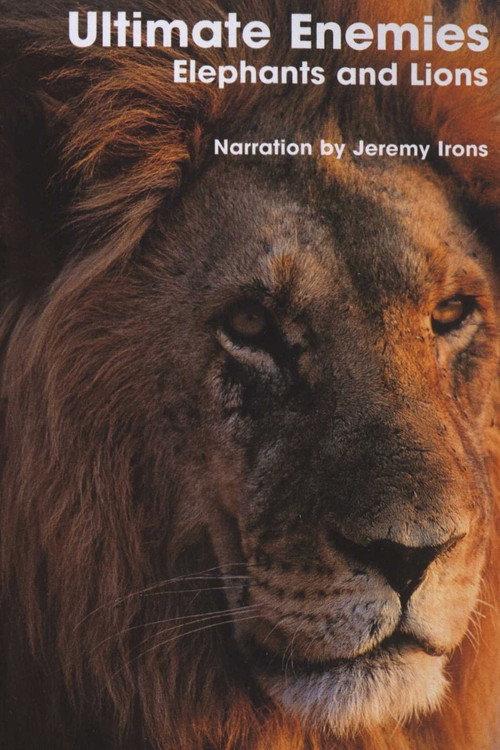 Ultimate Enemies: Elephants and Lions 2003 official movie poster