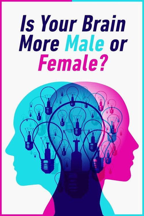 Is Your Brain Male or Female? 2014 official movie poster