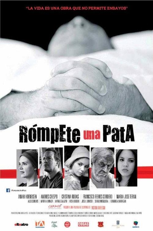 Break a leg 2013 official movie poster