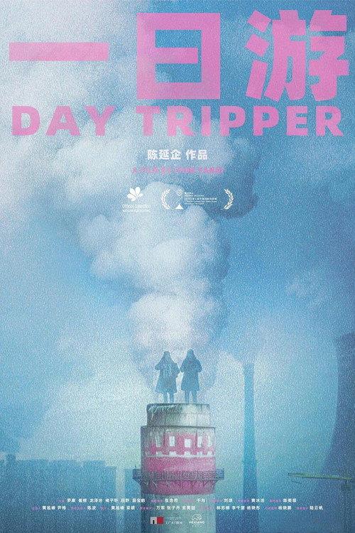 Day Tripper 2023 official movie poster
