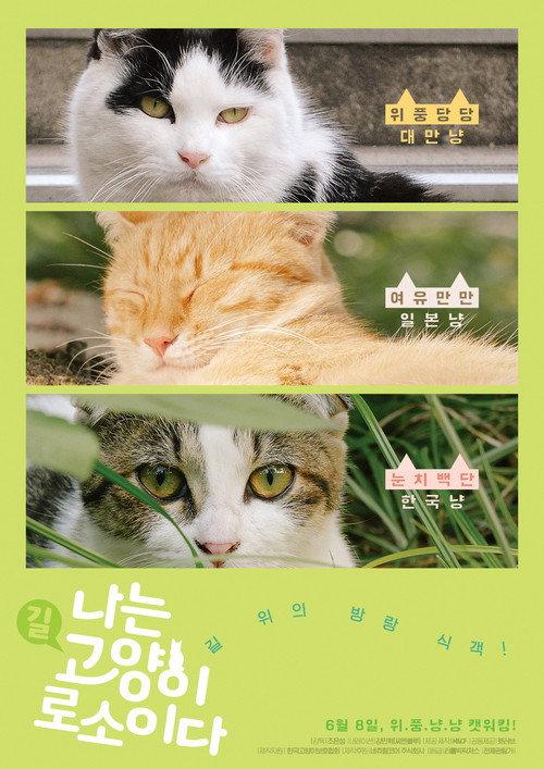I am a Cat 2017 official movie poster
