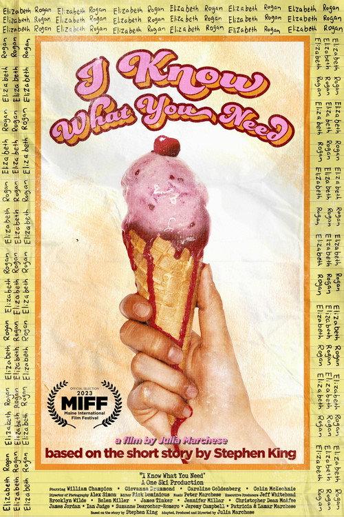 I Know What You Need 2023 official movie poster