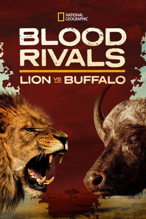 Blood Rivals: Lion vs Buffalo 2014 official movie poster