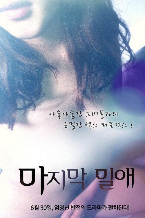 The Last Liaison 2011 official movie poster