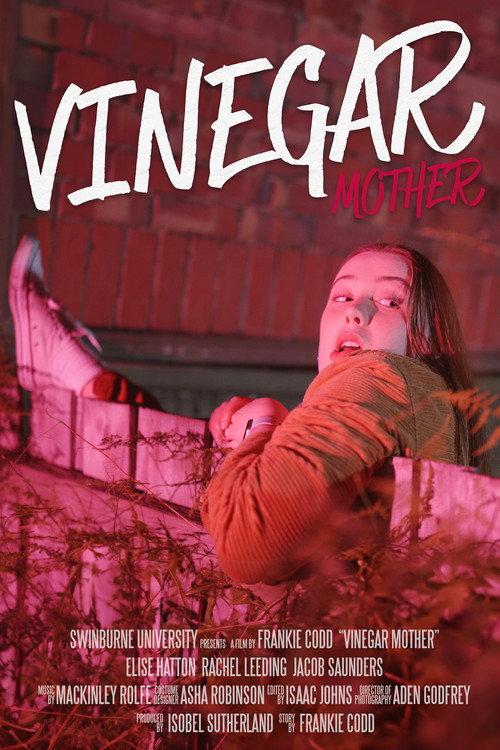 Vinegar Mother 2024 official movie poster