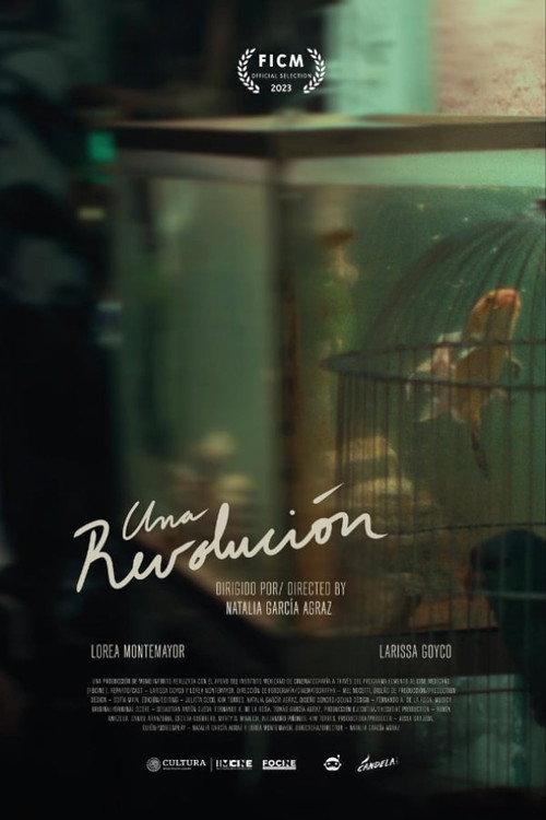A Revolution 2023 official movie poster