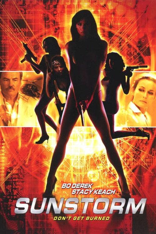 Sunstorm 2001 official movie poster