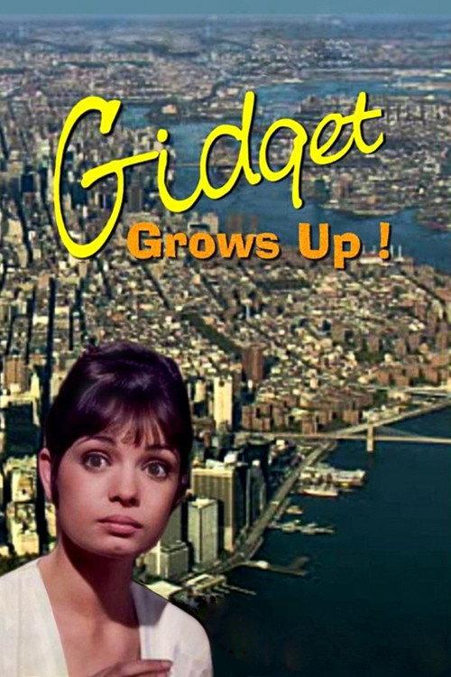 Gidget Grows Up 1969 official movie poster