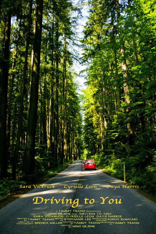 Driving to You 2013 official movie poster