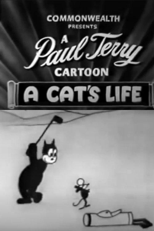 A Cat's Life 1920 official movie poster