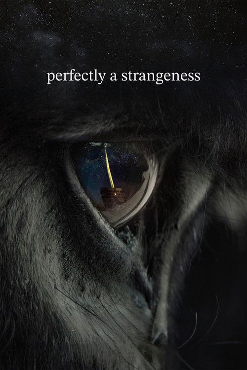 perfectly a strangeness 2024 official movie poster