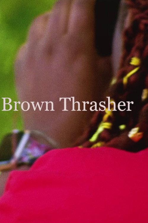 Brown Thrasher 2020 official movie poster