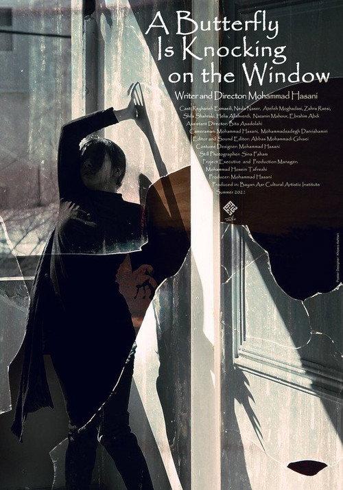 A Butterfly Is Knocking on the Window  official movie poster