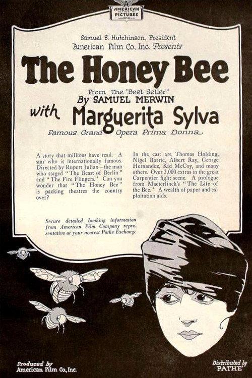 The Honey Bee 1920 official movie poster