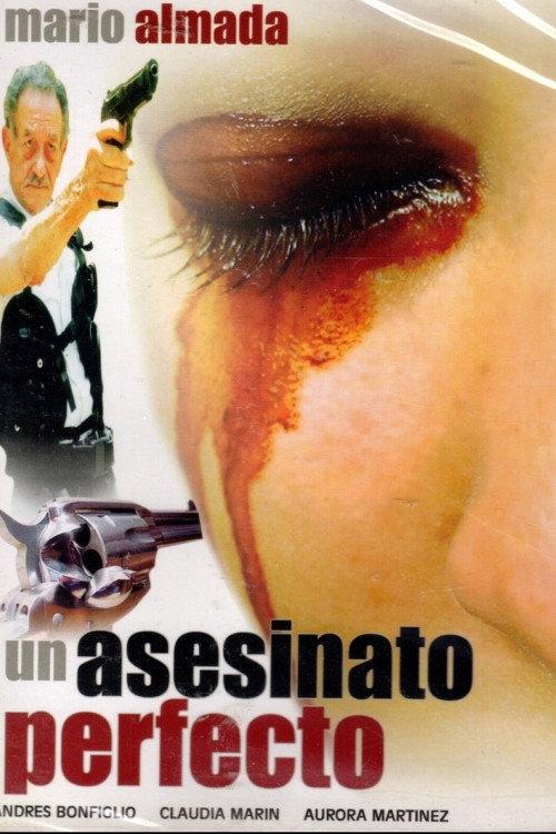 Un Asesinato Perfecto 1995 official movie poster