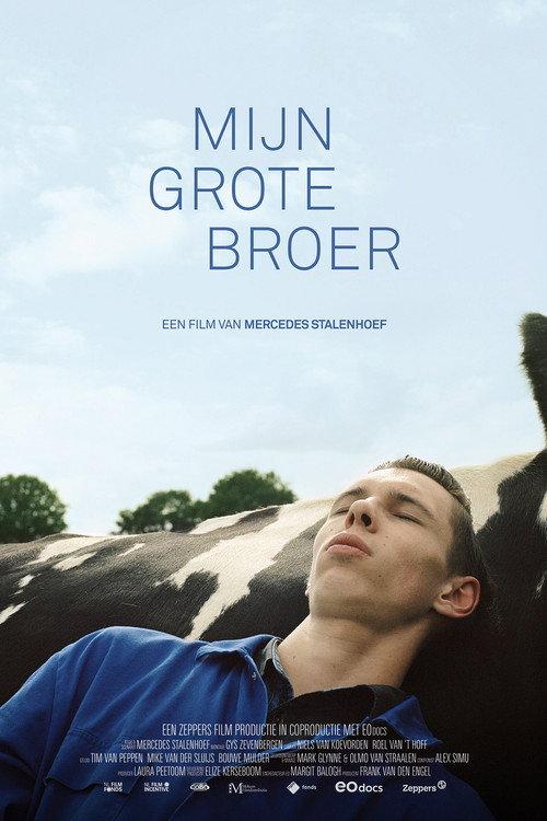 Mijn grote broer 2023 official movie poster
