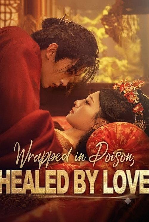 Wrapped in Poison, Healed by Love 2024 official movie poster
