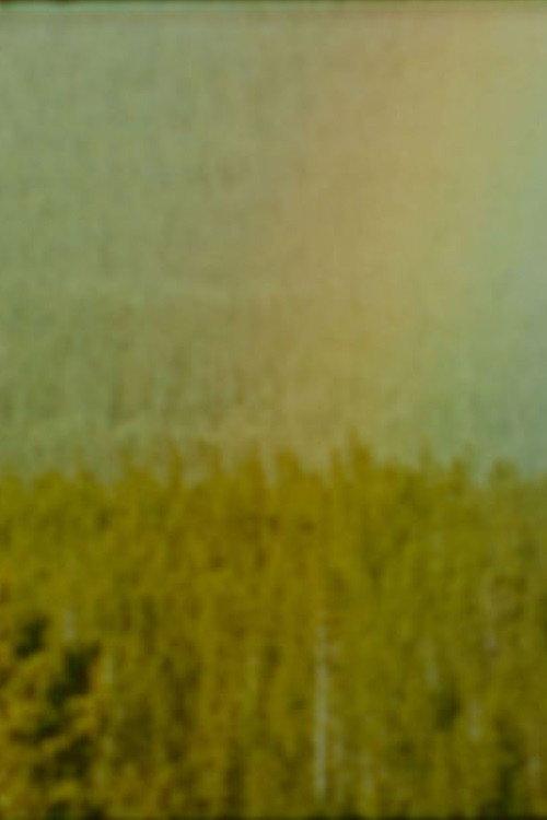 Bird 1978 official movie poster