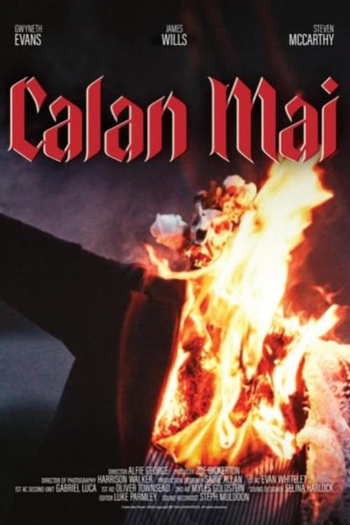 Calan Mai 2025 official movie poster