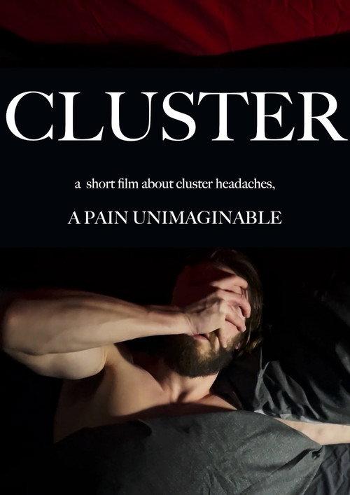 CLUSTER 2024 official movie poster