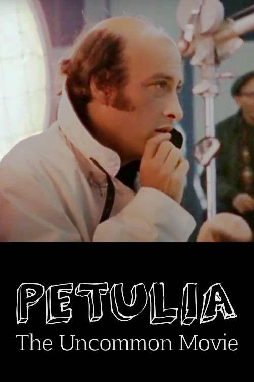 Petulia: The Uncommon Movie 1968 official movie poster