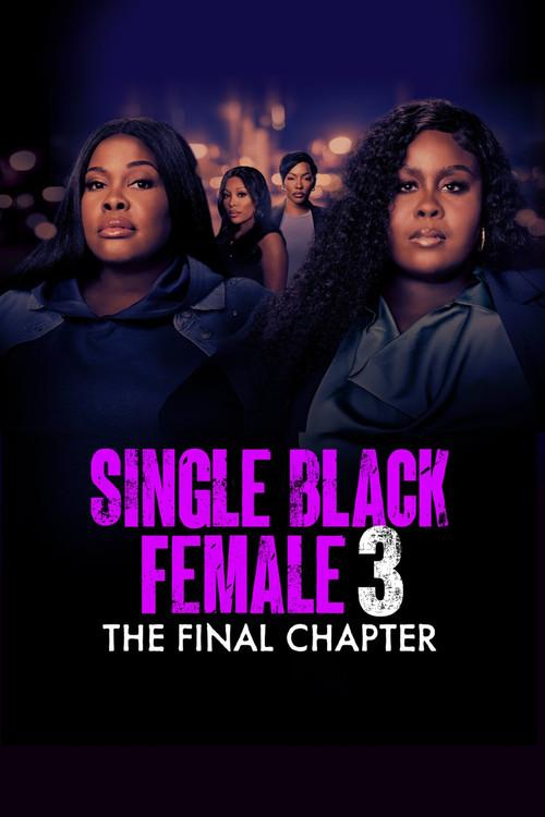 Single Black Female 3: The Final Chapter 2025 official movie poster