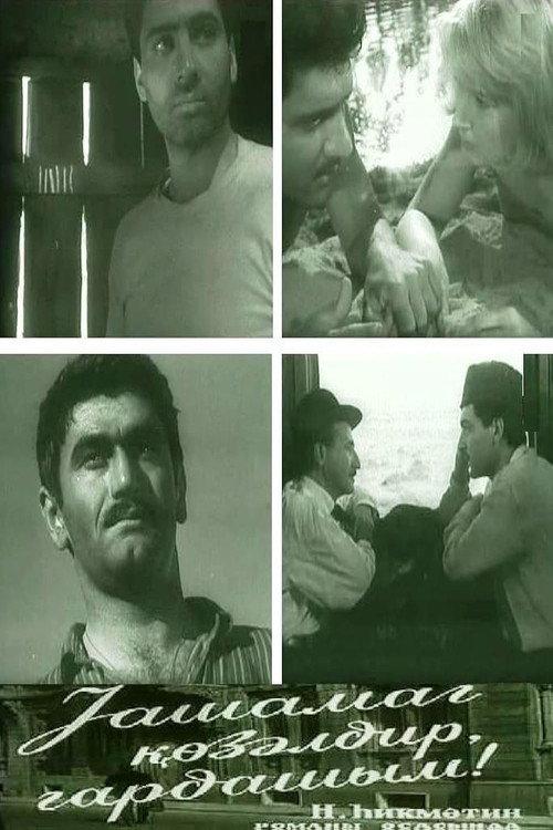 The Life is Beautiful, Brother! 1966 official movie poster