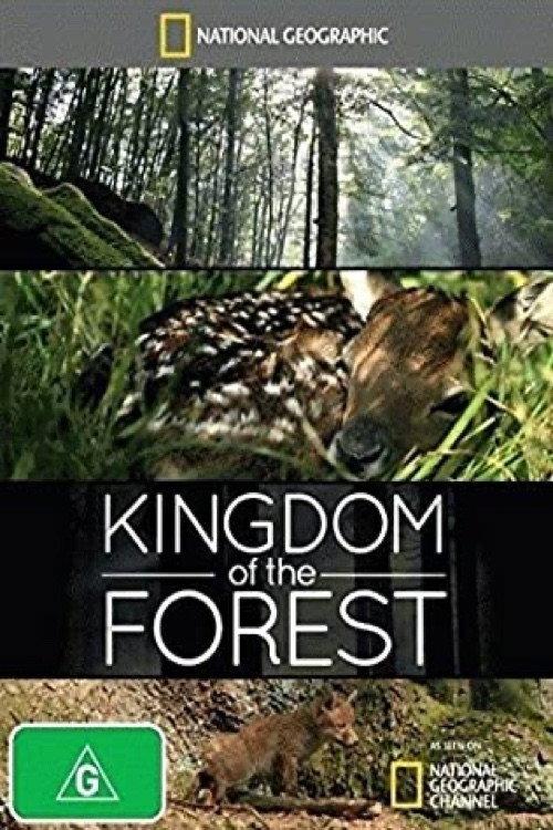 Kingdom of the Forest 2011 official movie poster