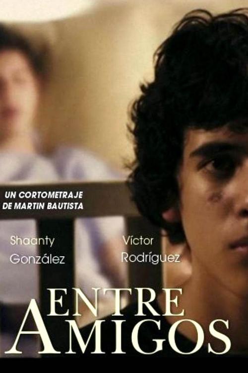 Between Friends 2010 official movie poster