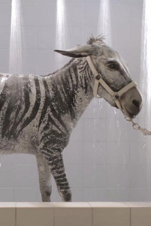 Bath Time 2012 official movie poster