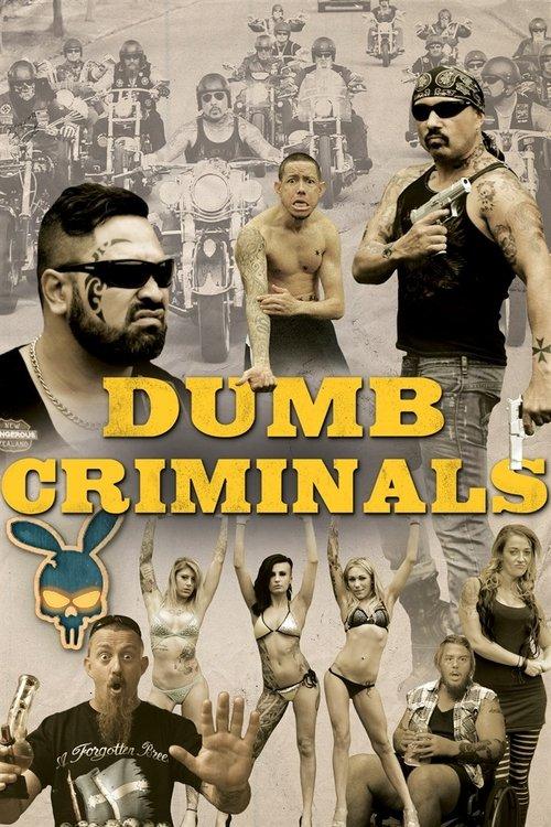 Dumb Criminals: The Movie 2015 official movie poster