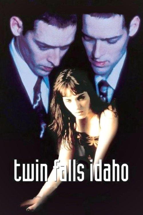 Twin Falls Idaho 1999 official movie poster