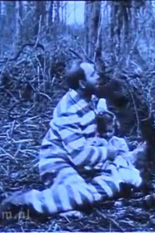 In Northern Forests 1911 official movie poster
