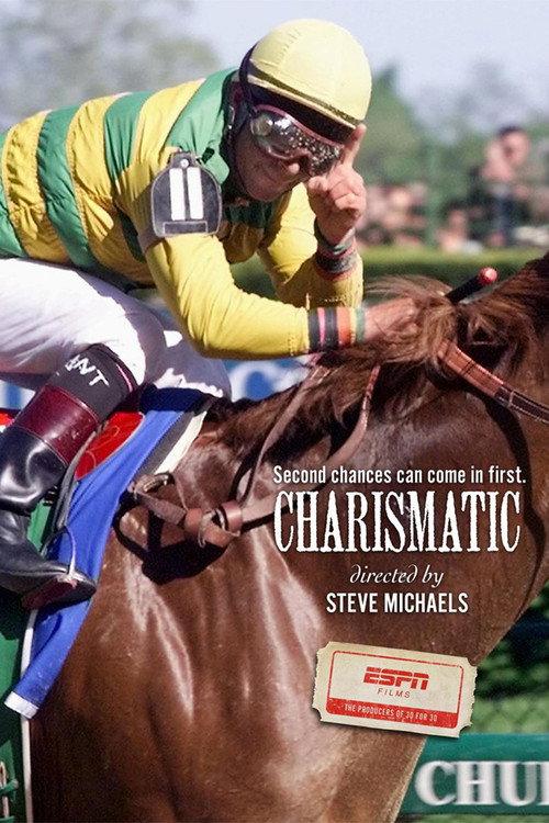 Charismatic 2011 official movie poster