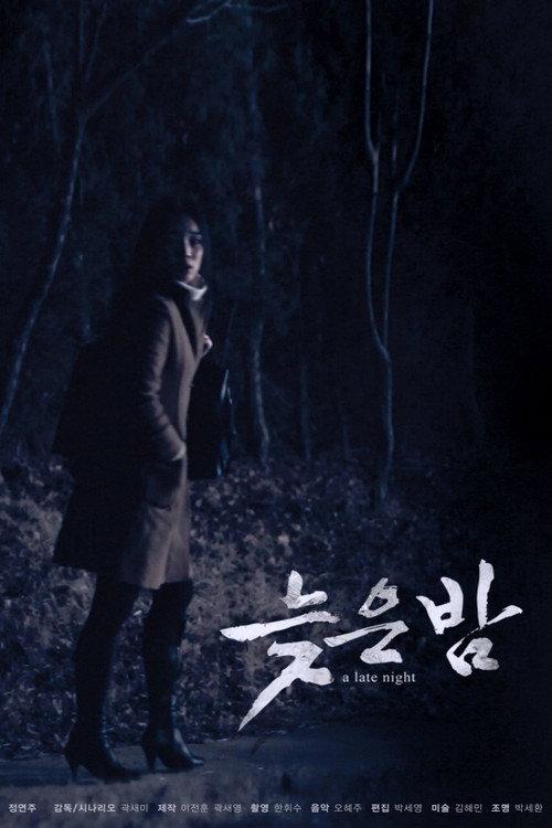 A Late Night 2012 official movie poster