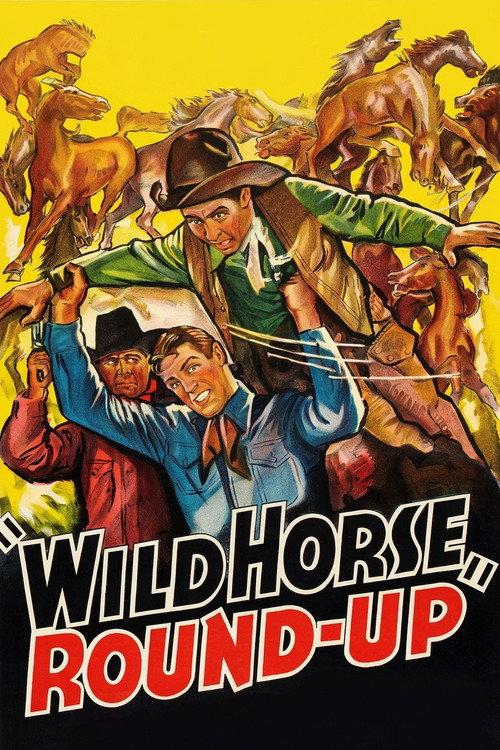 Wild Horse Round-Up 1936 official movie poster