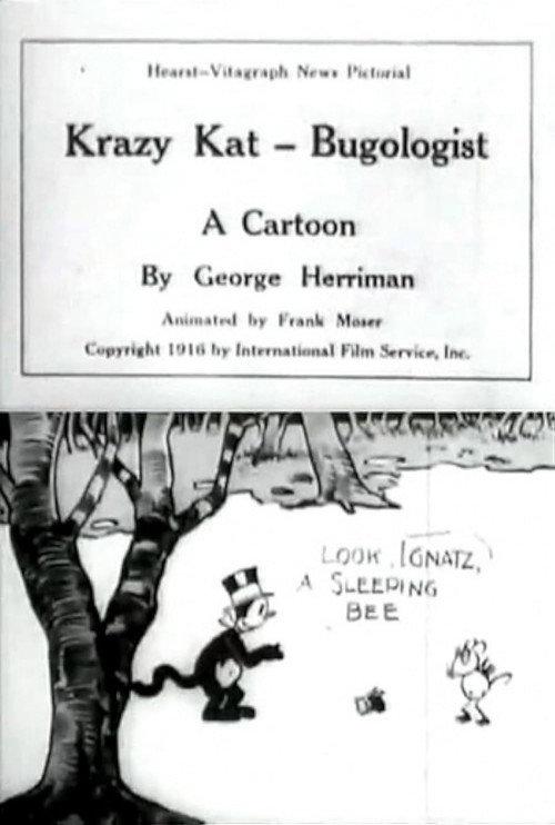 Krazy Kat, Bugologist 1916 official movie poster