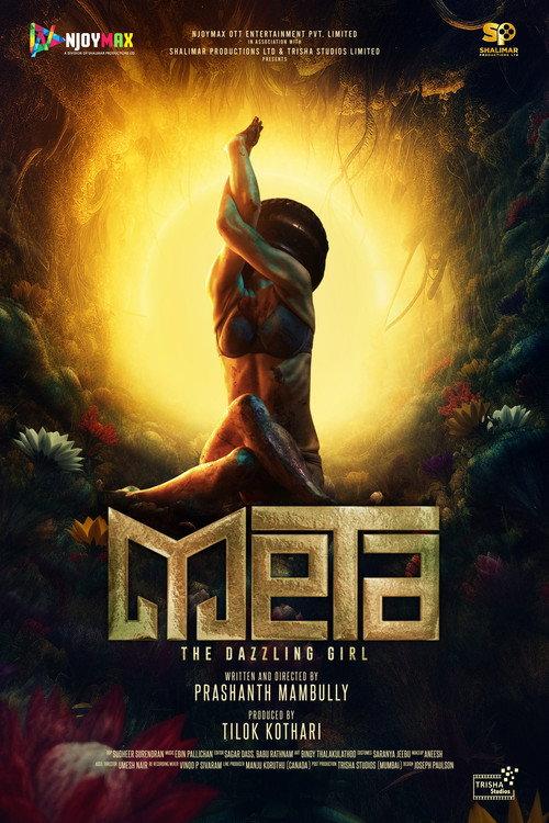 Meta: The Dazzling Girl 2025 official movie poster