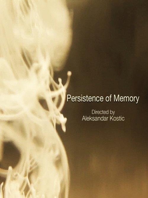 Persistence of Memory 2012 official movie poster