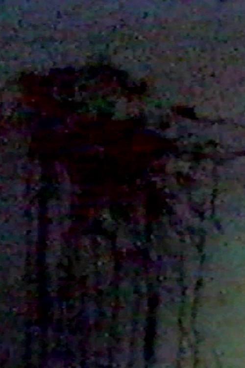 My Bloody Dream - Verse II 1988 official movie poster