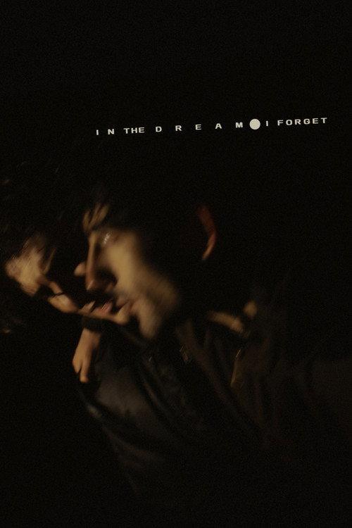 In the Dream I Forget 2026 official movie poster
