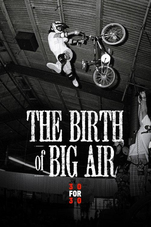 The Birth of Big Air 2010 official movie poster