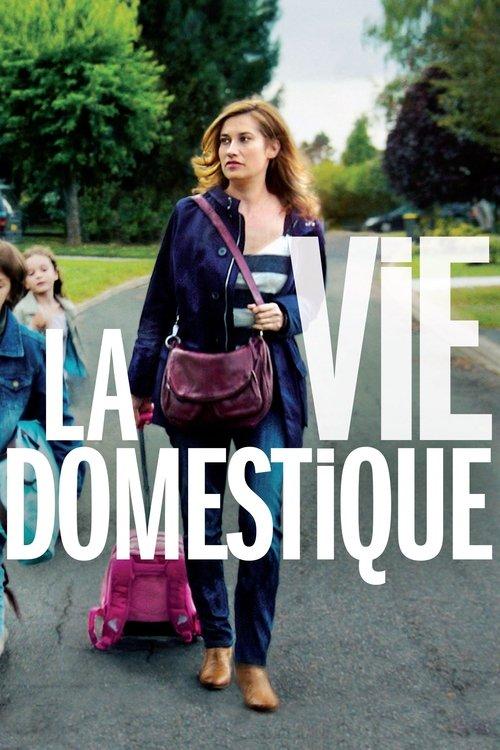 Domestic Life 2013 official movie poster
