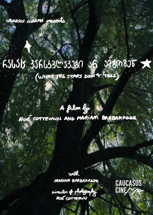 What the Stars Don’t Tell 2025 official movie poster