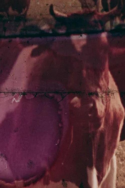 Green Field 1974 official movie poster