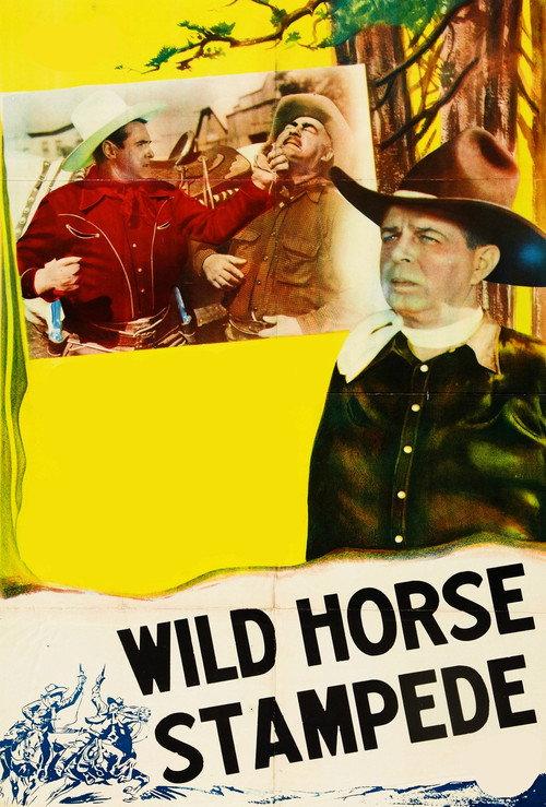 Wild Horse Stampede 1943 official movie poster