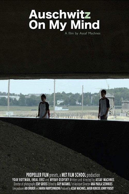 Auschwitz on My Mind 2013 official movie poster