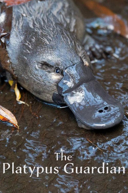 The Platypus Guardian 2023 official movie poster