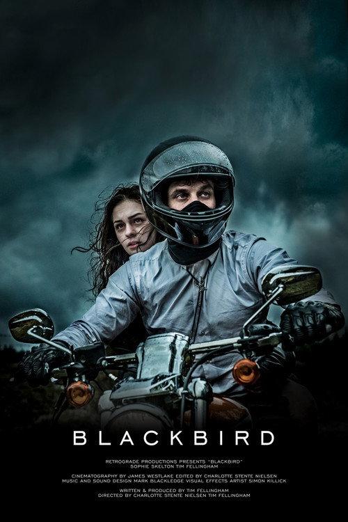 Blackbird 2016 official movie poster